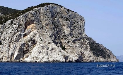 Фотографии Дмитрия Медведева Фотографии Дмитрия Медведева