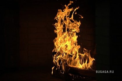 Фотографии Дмитрия Медведева Фотографии Дмитрия Медведева