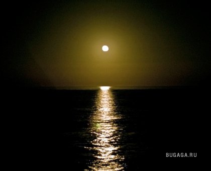 Фотографии Дмитрия Медведева Фотографии Дмитрия Медведева