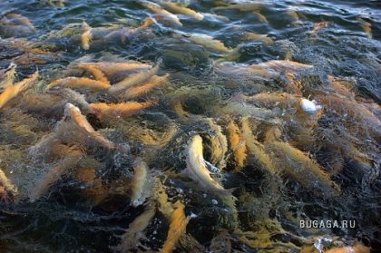 Фотографии Дмитрия Медведева Фотографии Дмитрия Медведева