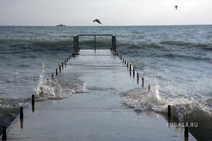 Фотографии Дмитрия Медведева Фотографии Дмитрия Медведева