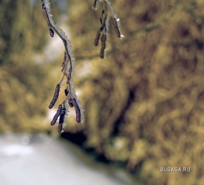 Фотографии Дмитрия Медведева Фотографии Дмитрия Медведева