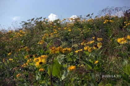 Фотографии Дмитрия Медведева Фотографии Дмитрия Медведева