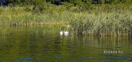 Фотографии Дмитрия Медведева Фотографии Дмитрия Медведева