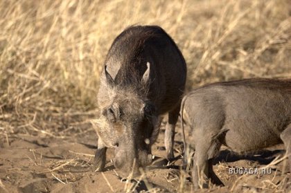 Фотографии Дмитрия Медведева Фотографии Дмитрия Медведева