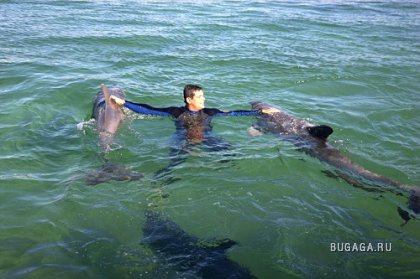 Фотографии Дмитрия Медведева Фотографии Дмитрия Медведева