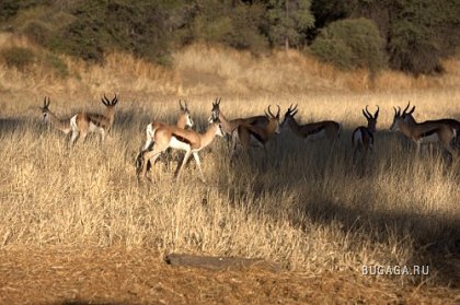 Фотографии Дмитрия Медведева Фотографии Дмитрия Медведева