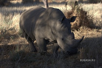 Фотографии Дмитрия Медведева Фотографии Дмитрия Медведева