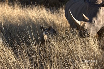 Фотографии Дмитрия Медведева Фотографии Дмитрия Медведева