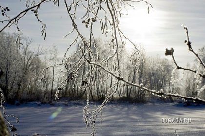 Фотографии Дмитрия Медведева Фотографии Дмитрия Медведева