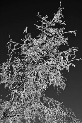 Фотографии Дмитрия Медведева Фотографии Дмитрия Медведева