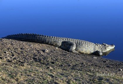 Фотографии Дмитрия Медведева Фотографии Дмитрия Медведева
