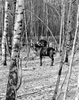 Фотографии Дмитрия Медведева Фотографии Дмитрия Медведева