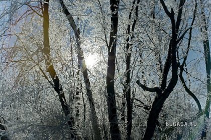 Фотографии Дмитрия Медведева Фотографии Дмитрия Медведева