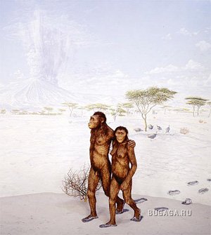 ещё раз о любви или почему они изменяют