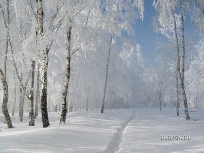 Зима - сказочно красива