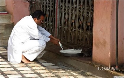 Крысиный храм Карни Мата