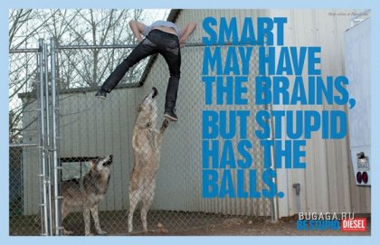 Философия глупости от Diesel