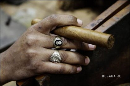 Производство кубинских сигар Cohiba