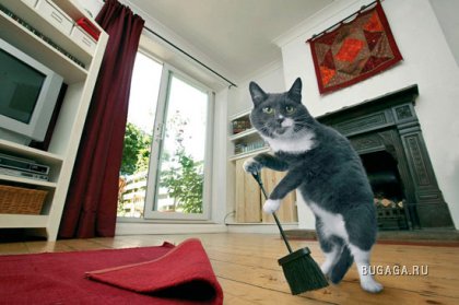 �����-������������