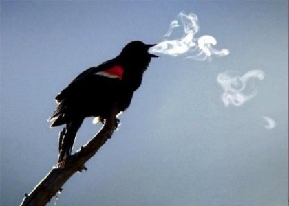 �������� � ������� �������