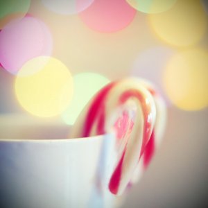 Meppol - талантливый фотограф Meppol - талантливый фотограф