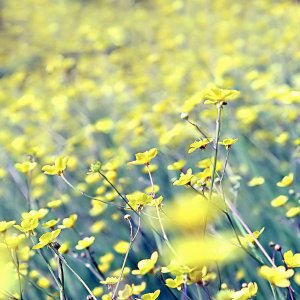 Meppol - талантливый фотограф Meppol - талантливый фотограф