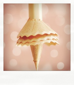 Meppol - талантливый фотограф Meppol - талантливый фотограф