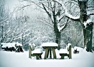 Meppol - талантливый фотограф Meppol - талантливый фотограф