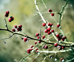 Meppol - талантливый фотограф Meppol - талантливый фотограф