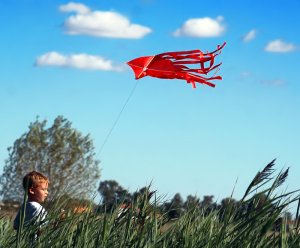 Meppol - талантливый фотограф Meppol - талантливый фотограф