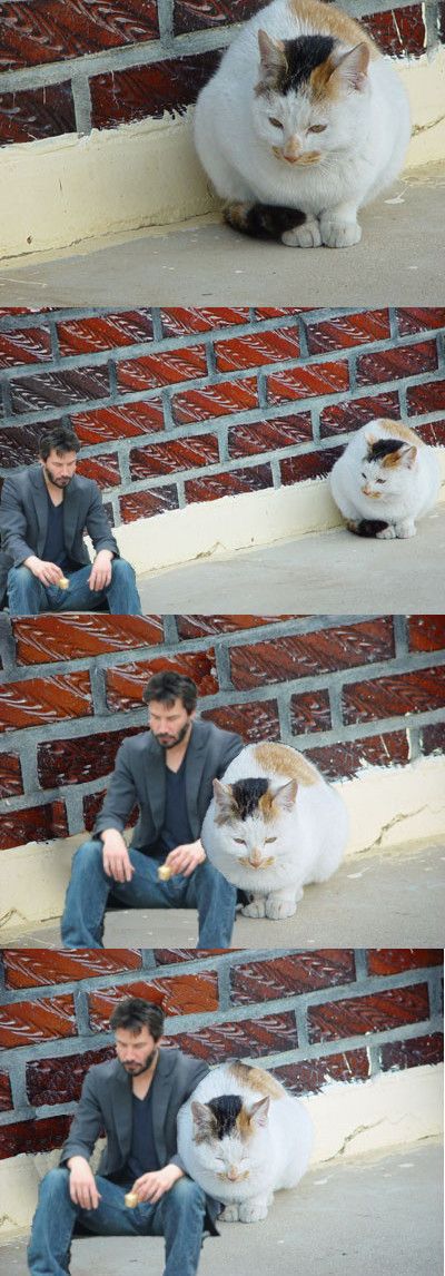 Фотожаба: Киану Ривз Фотожаба: Киану Ривз