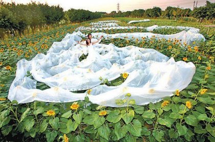 Странные свадебные платья