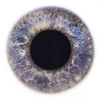 Красота глаз от фотографа Rankin