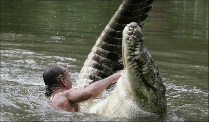 Как подружиться с крокодилом