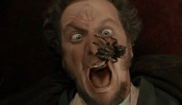 Интересные факты о фильме «Один дома» Интересные факты о фильме «Один дома»