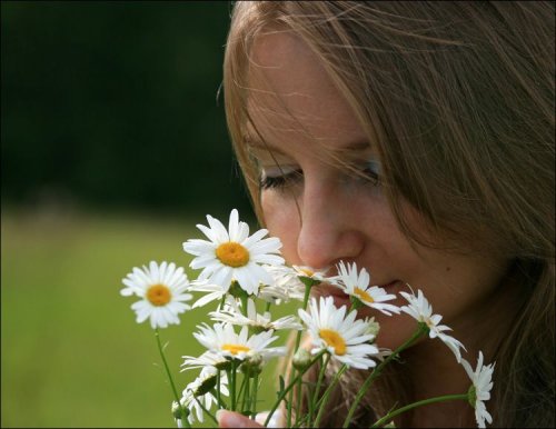 10 интересных фактов о запахах