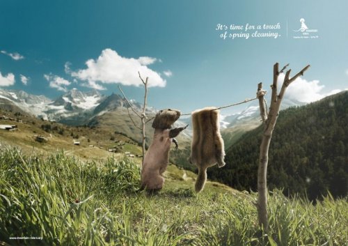 Креативная реклама с животными