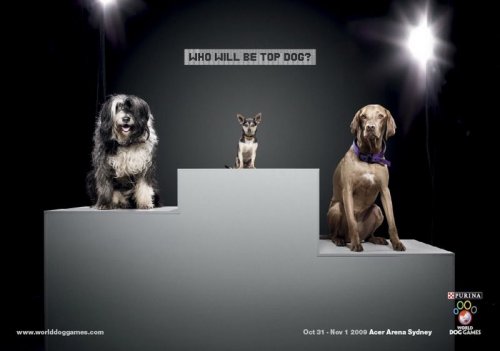 Креативная реклама с животными