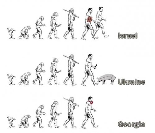 Эволюция в разных странах
