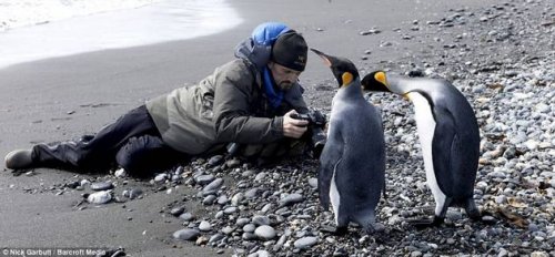 ������� ���������� ��������� � ���������