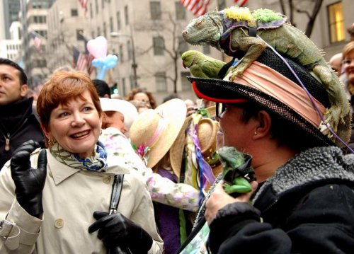 Веселые шляпы