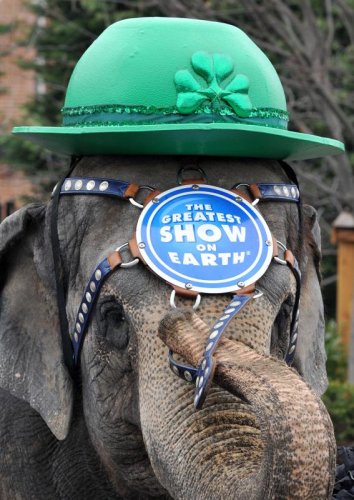 Веселые шляпы