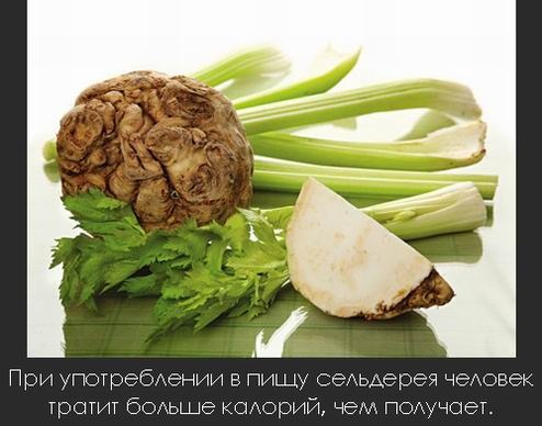 Интересные факты в картинках (часть 4)