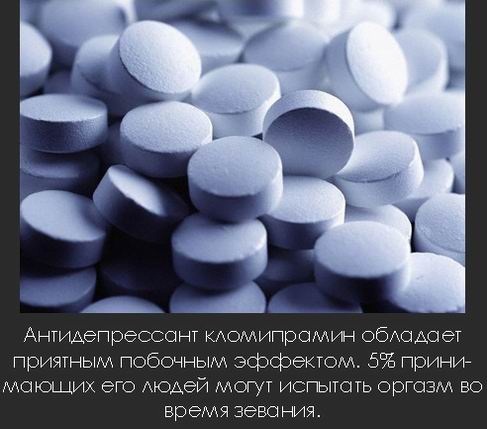 Интересные факты в картинках (часть 4)