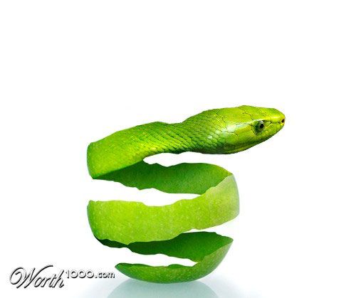 Фотоманипуляция: растения и животные (часть 3) Фотоманипуляция: растения и животные (часть 3)