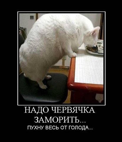 http://www.bugaga.ru/uploads/posts/2011-02/1297951998_19.jpg