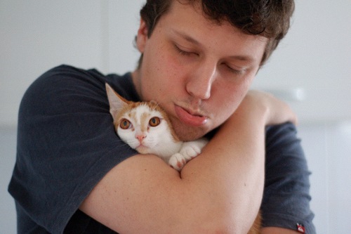 Парни и котики. Часть 2