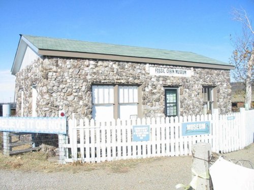 Дом из костей динозавров