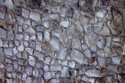 Дом из костей динозавров